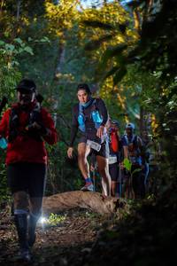 BIB: 2016
                            <button type="button" onclick="openModal(19235396)" class="btn btn-primary btn-sm float-right btn-popup" data-toggle="modal" data-target=".modal-high-quality">
                        <i class="fas fa-shopping-cart"></i> Add to Cart
                    </button>
                                            <button type="button" onclick="isThisMe(19235396, true)" class="btn btn-success btn-sm float-right btn-popup btn-isme hidden" data-toggle="tooltip" data-placement="bottom" title="นี่คือรูปของคุณใช่ไหม คลิกที่นี่เพื่อเอาเข้าอัลบั้ม">
                        <i class="fas fa-plus"></i> Add to album
                    </button>
                    <button type="button" onclick="isThisMe(19235396, false)" class="btn btn-warning btn-sm float-right btn-popup btn-isnotme hidden">
                        <i class="fas fa-ban"></i> Remove from album
                    </button>